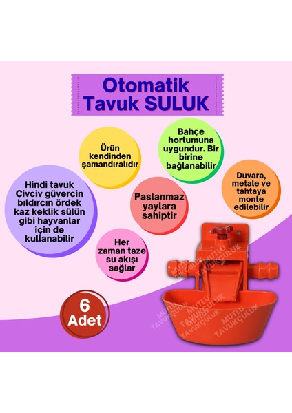 Otomatik Akıllı Tavuk Civciv Suluğu Suluk 6 Adet Hindi Ördek Bıldırcın Güvercin Yumurta Yumurtacı