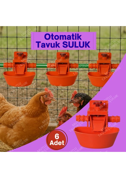 Otomatik Akıllı Tavuk Civciv Suluğu Suluk 6 Adet Hindi Ördek Bıldırcın Güvercin Yumurta Yumurtacı