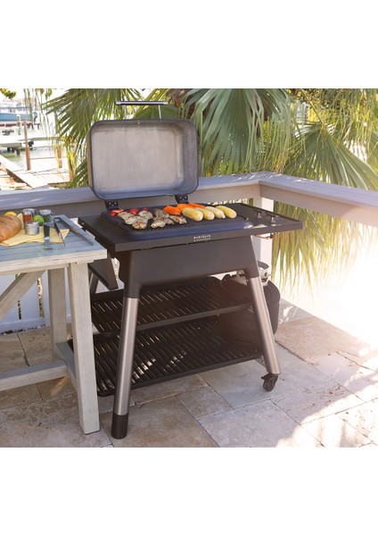 Force 2 Ateşlemeli Gazlı Barbekü Standlı Grafit modelleri