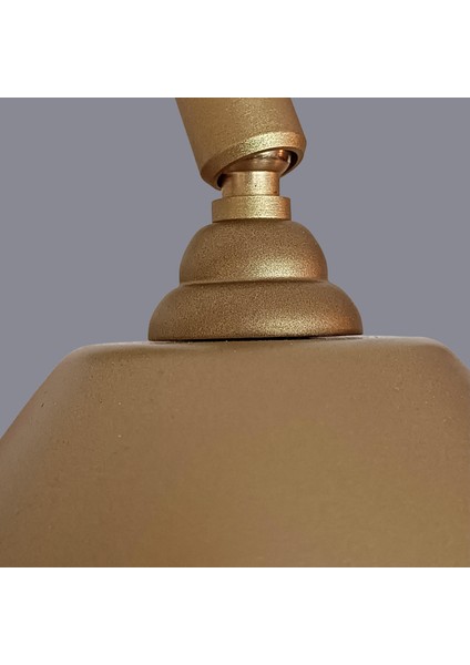 Berlon Oynar Başlıklı Gold Aplik