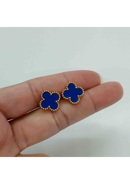 Çelik Gold Lacivert Yonca Küpe fiyatları
