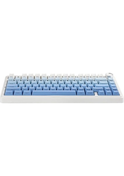 F75 Mavi Leobog Reaper Switch Rgb Kablosuz Hotswap Mekanik Gaming Klavye fiyatları