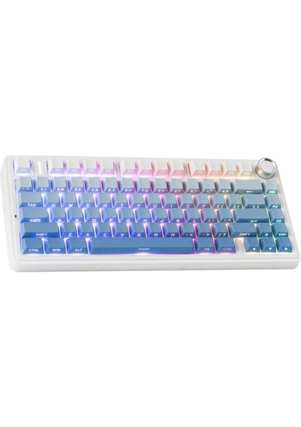 F75 Mavi Leobog Reaper Switch Rgb Kablosuz Hotswap Mekanik Gaming Klavye modelleri