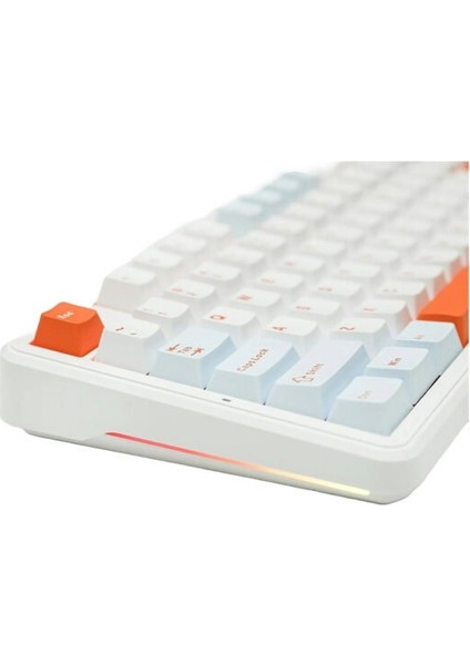 F87 Pro White Blue Leobog Nimbus V3 Switch Rgb Kablosuz Hotswap Mekanik Gaming Klavye fiyatları