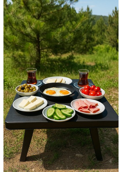 Katlanır Sehpa Kamp Masası Katlanabilir Masa Bahçe Masası Piknik Masası Plastik Taşınabilir Masa fiyatları