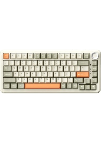 AK820 Max Grey Beige Orange Flying Fish Switch Rgb Kablosuz Hotswap Mekanik Gaming Klavye