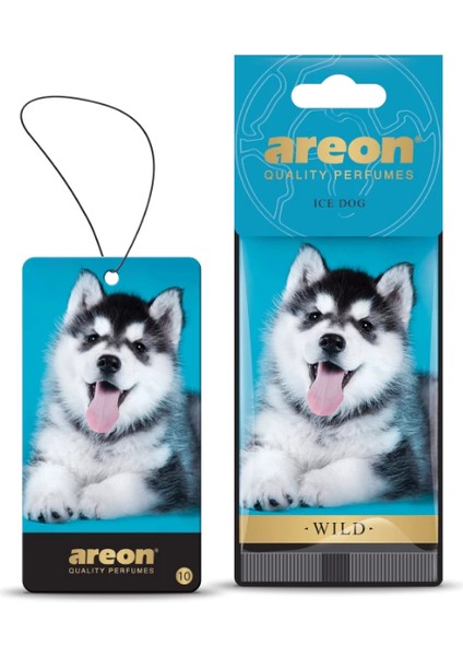 Wild Ice Dog Oto Araç Kokusu