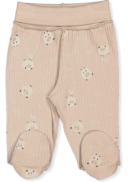 Organik Raporlu Interlok Zıbın Set 10LU (Organıc Lıttle Lamb) Z1027 Bej 0-3M/62CM fırsatları