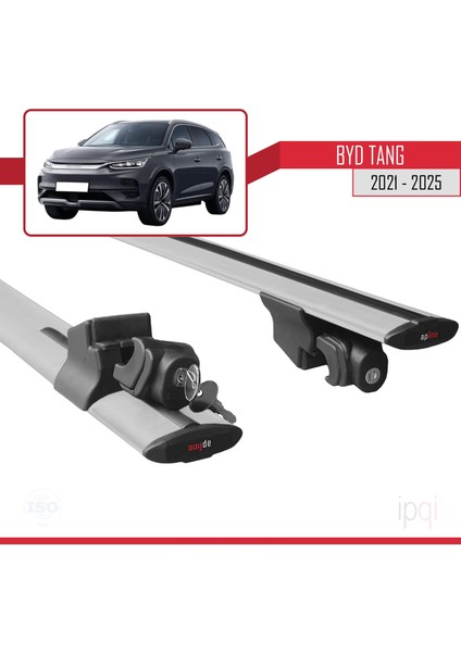 Byd Tang 2021-2025 Arası ile Uyumlu Hook Model Ara Atkı Tavan Barı Gri 2 Adet