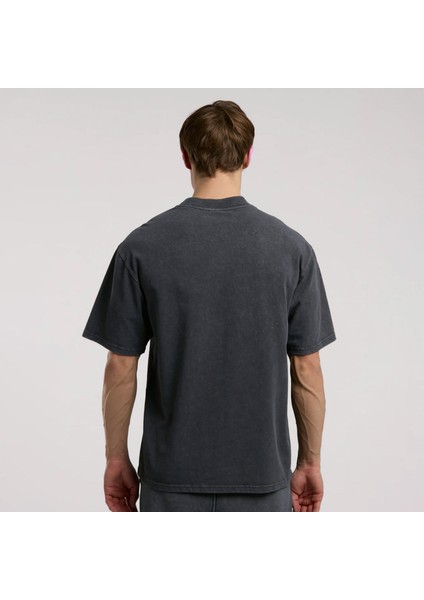 Everlast Authentic Boxing Erkek Gri T-SHIRT.333 modelleri