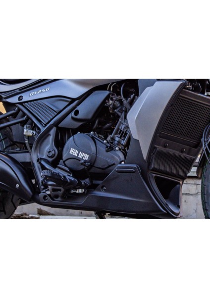 - Dy 250 Cruıser Motosiklet fırsatları