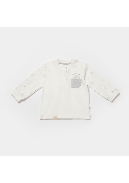 Bibaby Biorganic Koala Jungle 2'li Bebek Takım 59776 Gri fiyatları