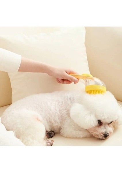 Sıvı Hazneli Evcil Hayvan Tarağı modelleri