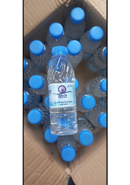 Zemzem Suyu 250 ml
