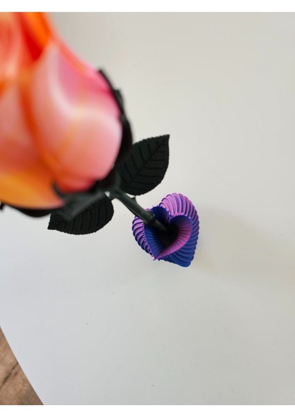 Kalp Formatında Vazo modelleri