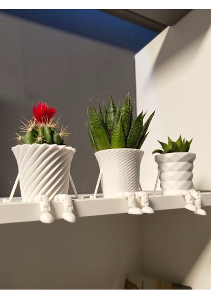 3'lü Eklemli Ayaklı Kaktüs Saksı Seti