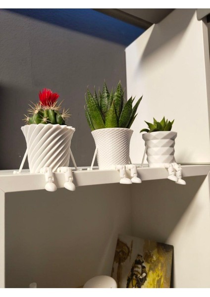 3'lü Eklemli Ayaklı Kaktüs Saksı Seti fiyatları