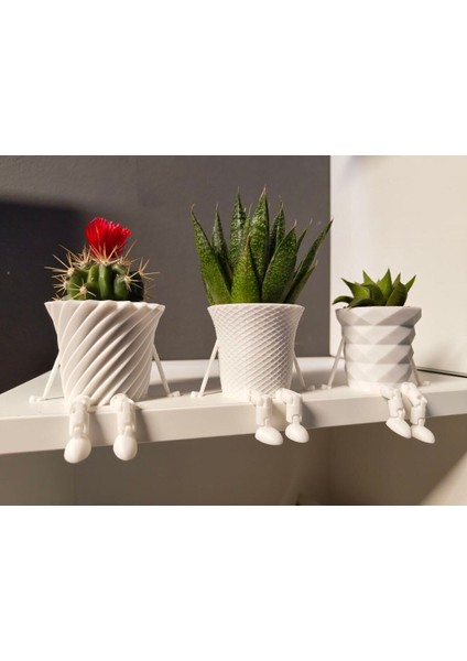 3'lü Eklemli Ayaklı Kaktüs Saksı Seti modelleri