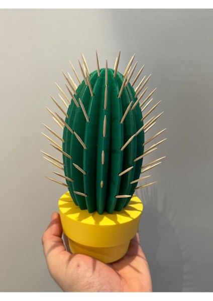 Kaktüs Kürdanlık fiyatları