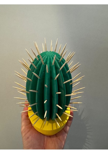 Kaktüs Kürdanlık modelleri