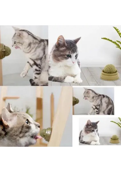 Kedi Nanesi Oyun Topu fiyatları