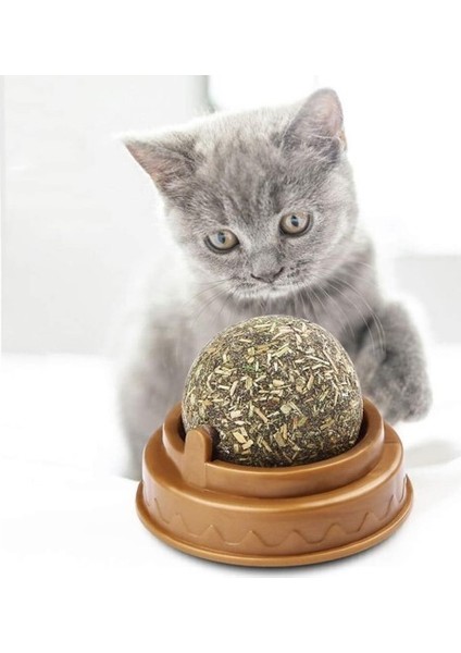 Kedi Nanesi Oyun Topu fırsatları