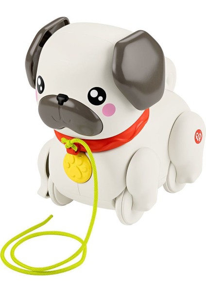 HTW94 Fisher-Price Minik Dostumla Yürüyüş