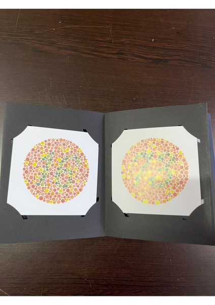 Renk Körlüğü Eğitici Kitap ve Geliştirme Seti, Renk Tanıma Aracı