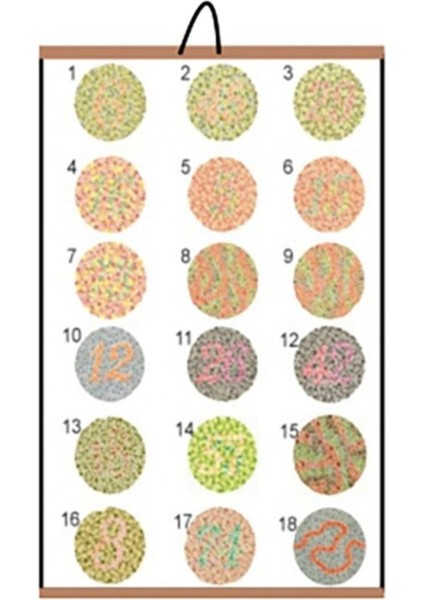 Renk Körlüğü Test Skalası ile renkleri kolayca ayırt edin fiyatları