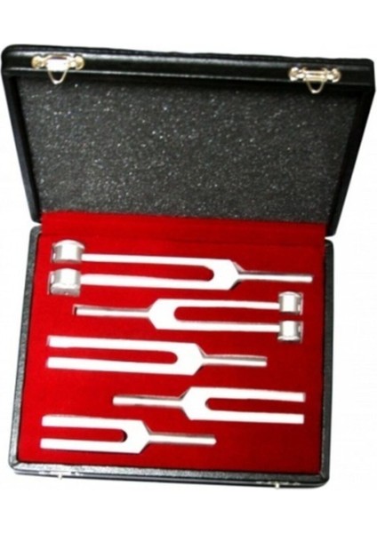 5'li Diapozon Seti Sağlık ve Güzellik İçin Güçlü Destek, Doğal ve Etkili Kullanım