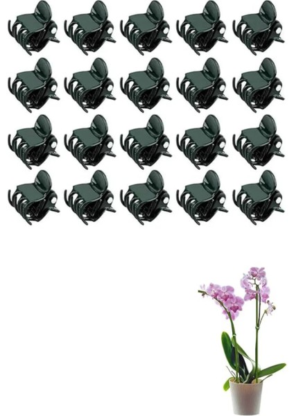 Bahçe Saksı Çiçek Dal Fidan Mandalı Saksı Çiçek Klips Toka