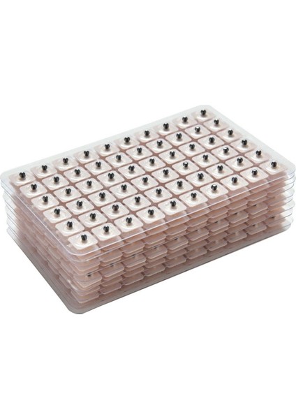 Akupunktur Kulak Tohumları 600 Adet Vaccaria Masajı Akupunktur Faydaları