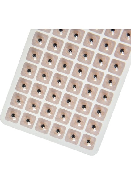 Akupunktur Kulak Tohumları 600 Adet Vaccaria Masajı Akupunktur Faydaları fiyatları