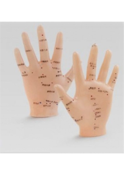 El Maketi ile Akupunktur Noktalarını Keşfet, Türk Malı, Sağlıklı Deneyim