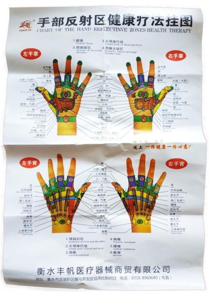 El Maketi ile Akupunktur Noktalarını Keşfet, Türk Malı, Sağlıklı Deneyim modelleri