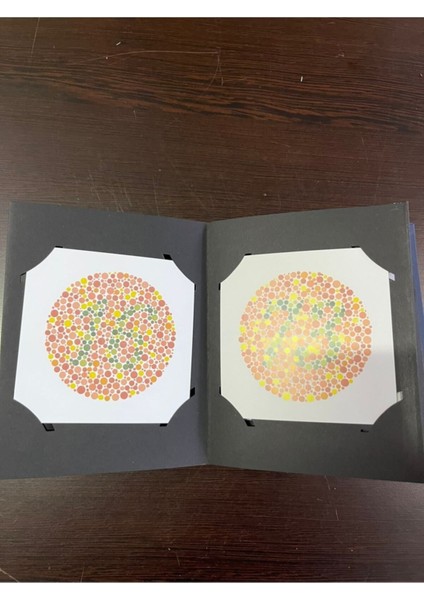 Renk Körlüğü Farkındalık ve Öğrenme Kılavuzu, Sema Karakoç