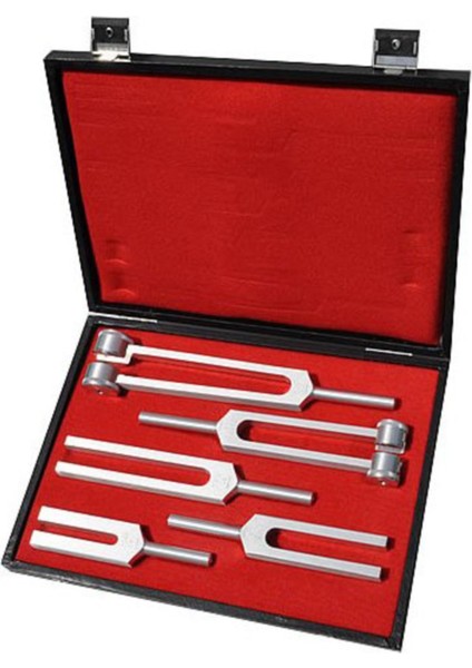 5'li Diyapozon Tuning Fork Seti, Sağlık ve Terapi İçin Uygun, Güçlü ve Güvenilir Rehber