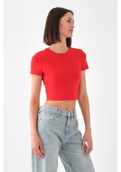 Alexandergardı Kısa Kollu Crop T-Shirt