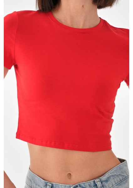 Alexandergardı Kısa Kollu Crop T-Shirt fiyatları