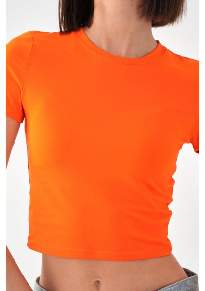 Alexandergardı Kısa Kollu Crop T-Shirt