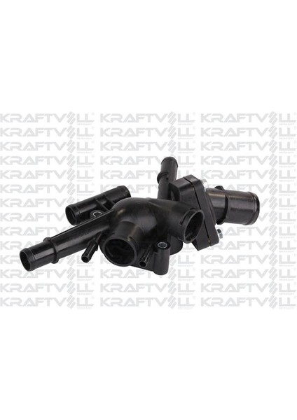 Termostat Yuvası Laguna F3R