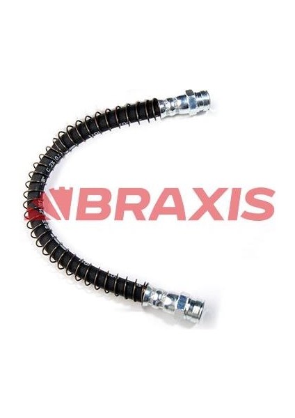 Arka Fren Hortumu Sag P306