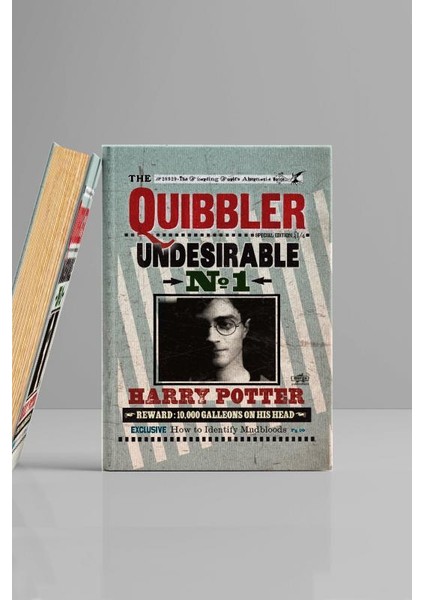 Kitap Görünümlü Dekoratif Kutu 16,5X24,5 cm Harry Potter Quibbler Lisanslı