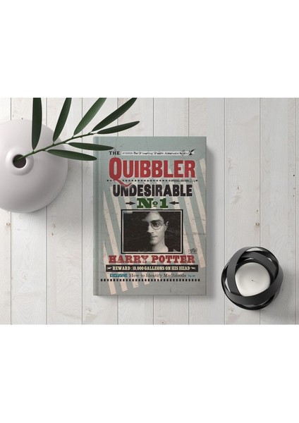 Kitap Görünümlü Dekoratif Kutu 16,5X24,5 cm Harry Potter Quibbler Lisanslı fırsatları