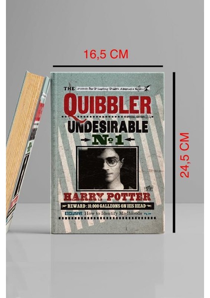 Kitap Görünümlü Dekoratif Kutu 16,5X24,5 cm Harry Potter Quibbler Lisanslı indirimleri