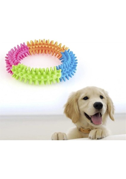 Köpek Isırma Diş Kaşıma Çemberi