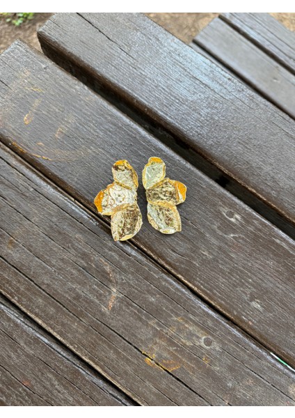 Zr Modeli Yaprak Küpe indirimleri