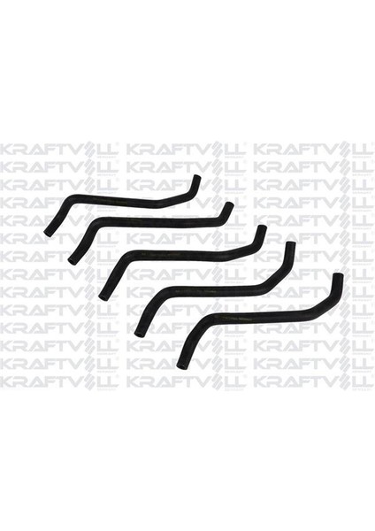 Genlesme Sıse Hortumu R19 Megane 1,6 Enj