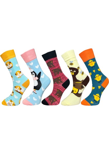 5'li Unisex Esnek Hamster Penguen Ayı ve Civciv Desenli Karışık Renkli Nefes Alabilen Soket Çoraplar