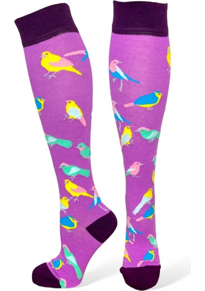 5'li Unisex Esnek Hayvan ve Doğa Desenli Karışık Renkli Nefes Alabilen Diz Üstü Çoraplar fiyatları